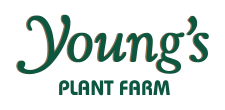 TG_Agriculture_YoungsPlantFarm